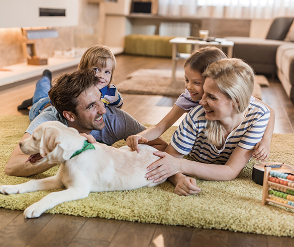 5 Tips for Bringing a New Pet Home - 15188