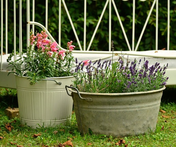 Metal cans made into flower pots re?id=2746